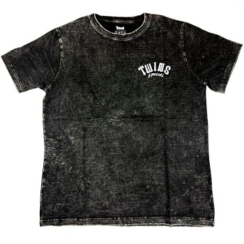 Футболка Twins Special Тайский Бокс Хлопок Графит