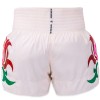 Top King TKTBS-272 Шорты Тайский Бокс 