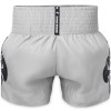 Top King TKTBS-260 Шорты Тайский Бокс Серые
