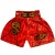 Детские Шорты Тайский Бокс "Thaiboxing" Дракон Красные