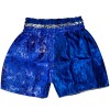 Детские Шорты Тайский Бокс "Thaiboxing" Дракон Синие с Белым Драконом