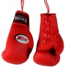 Twins Special Боксерские Перчатки в Машину Сувенирные Красные