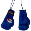 Twins Special Боксерские Перчатки в Машину Сувенирные Синие 