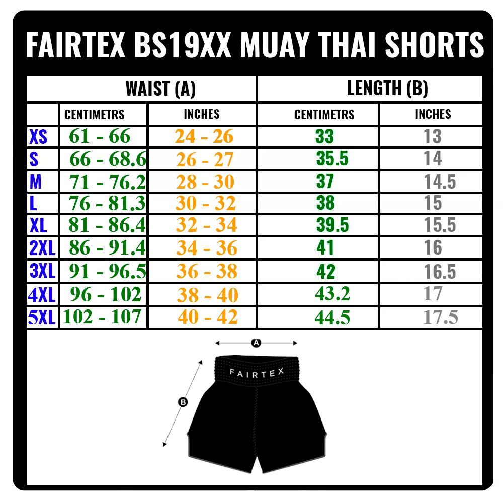 Fairtex BS1901 Шорты Тайский Бокс "Stealth"