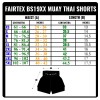 Fairtex BS1901 Шорты Тайский Бокс "Stealth"