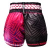 Twins Special "Maze" Шорты Тайский Бокс