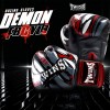 Twins Special FBGVL3-55 Боксерские Перчатки Тайский Бокс "Demon"