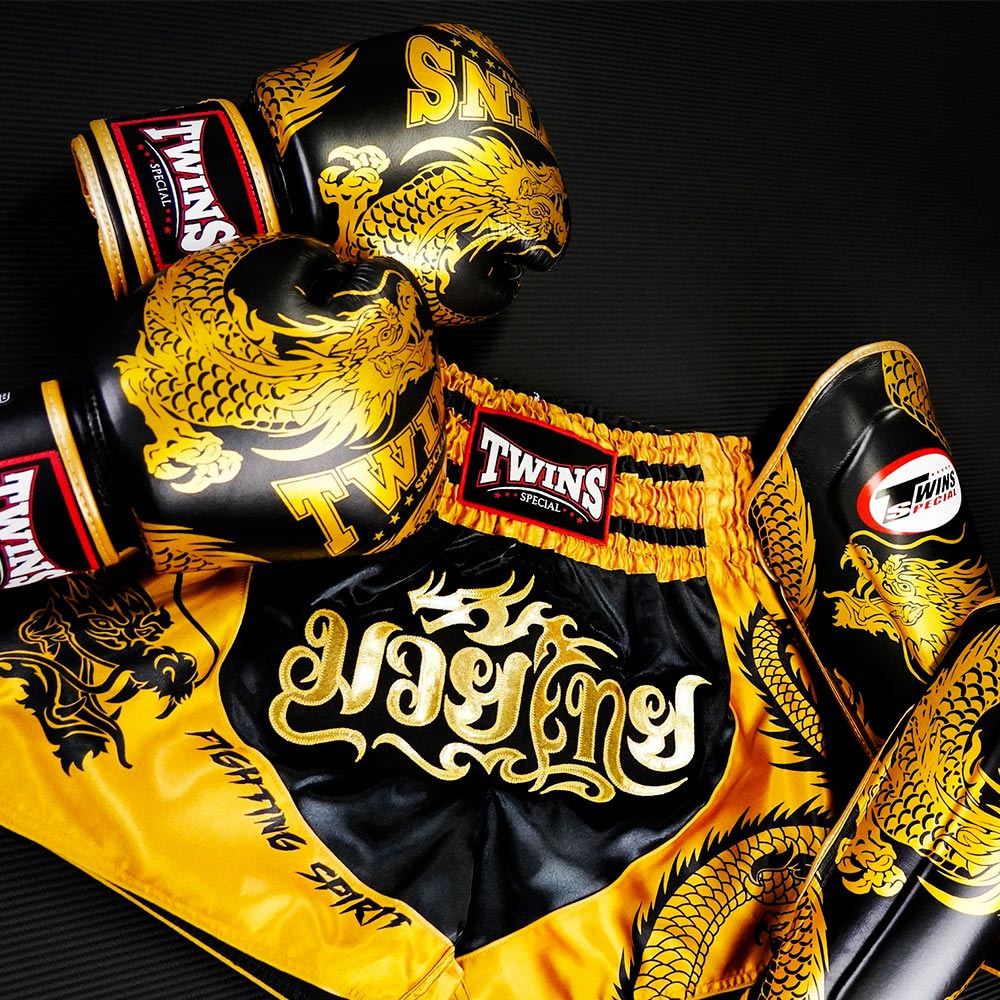 Twins Special Dragon-2 Шорты Тайский Бокс