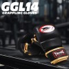 Twins Special GGL14 Перчатки ММА Черные