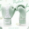 Twins Special BGVL4P "Mint" Боксерские Перчатки Тайский Бокс