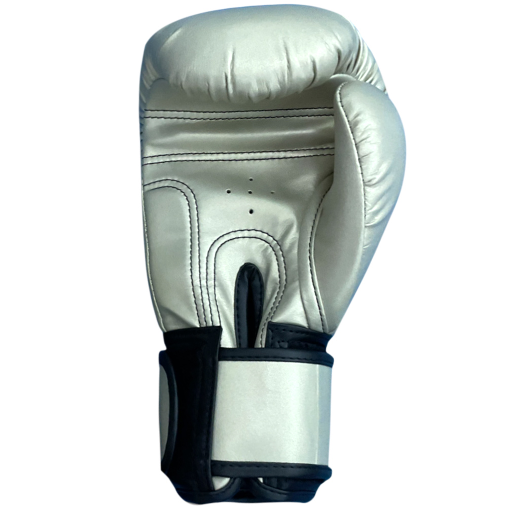 Raja Boxing  "Tattoo V4" Боксерские Перчатки 4 Цвета