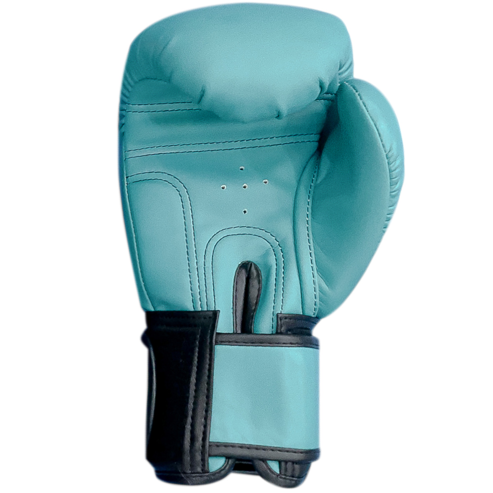 Raja Boxing  "Tattoo V4" Боксерские Перчатки 4 Цвета