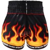 Twins Special "Flame" Шорты Тайский Бокс Размер M
