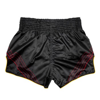 Fairtex BS1925 Шорты Тайский Бокс "Mr.X"