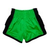 Детские шорты Fairtex BSK2106 Тайский Бокс "Siam"