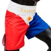 Fairtex BT2001 Шорты Боксерские "Philippines"
