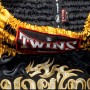 Twins Special Dragon-2 Шорты Тайский Бокс