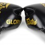 Fairtex BGVG1 "Glory" Боксерские Перчатки Тайский Бокс Липучка Черные 