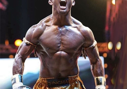 БУАКАУ БАНЧАМЕК ПРОВЕДЕТ МАТЧ-РЕВАНШ С АНДРЕ ДИДОЙ