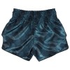 Fairtex BS1902 Шорты Тайский Бокс "Stealth"