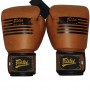 Боксерские Перчатки FAIRTEX BGV21 