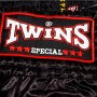 Twins Special TWS913 Шорты Тайский Бокс Сетка Черный