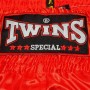 Twins Special TBS310 Шорты Тайский Бокс 