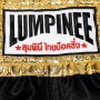 Lumpinee Тайские Шорты Лумпини "Boxing Gloves" Черные Размер S