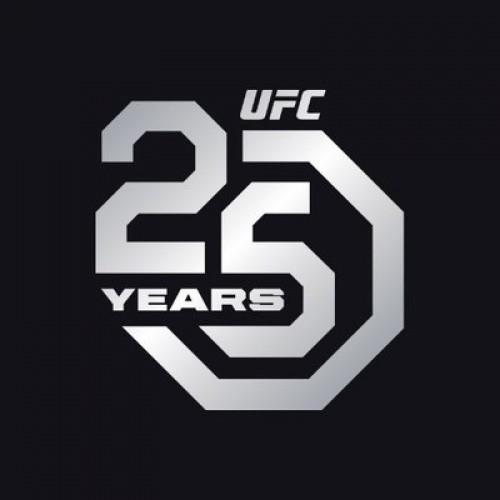 Итоги года от UFC